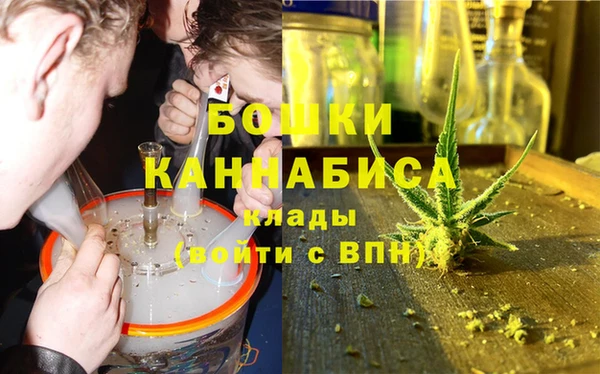 молекула духа Козельск