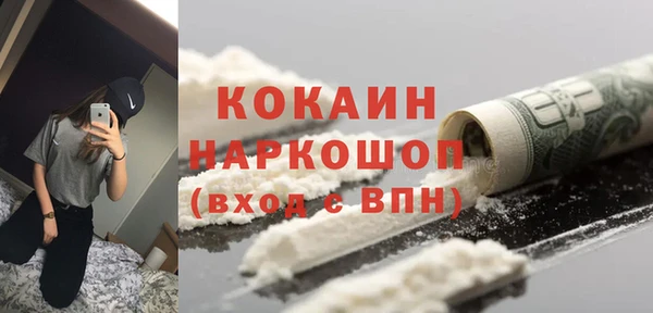 молекула духа Козельск