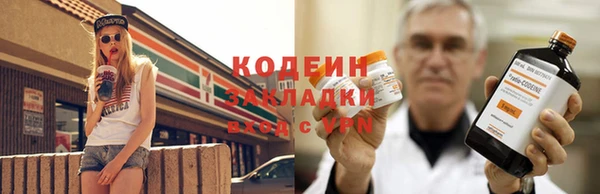 молекула духа Козельск