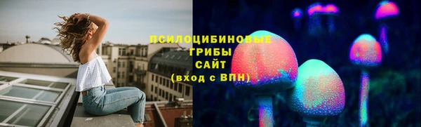 гидропоника Козловка