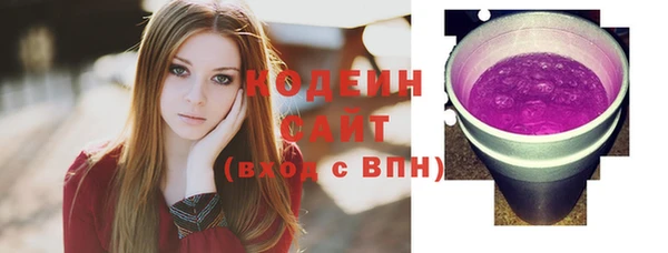 молекула духа Козельск