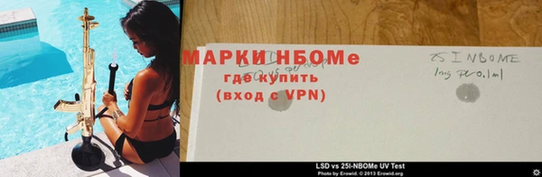 молекула духа Козельск