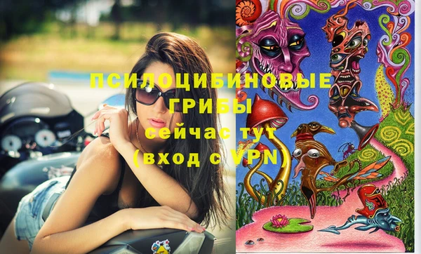 гидропоника Козловка