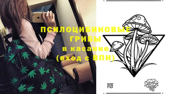 гидропоника Козловка