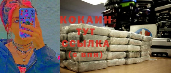 молекула духа Козельск
