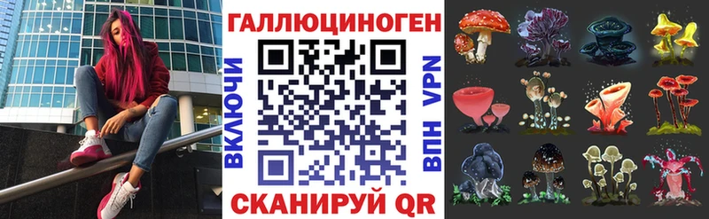 Галлюциногенные грибы Psilocybine cubensis Невинномысск