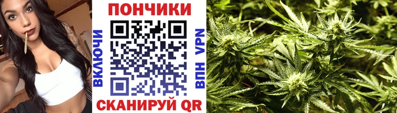 сколько стоит Невинномысск Бошки марихуана тримм